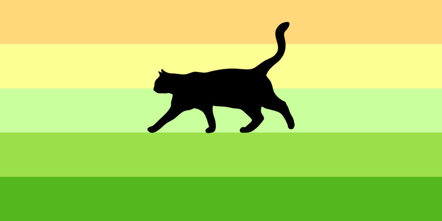 raycat